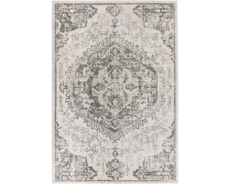 Šedo-krémový koberec 200x290 cm Nova – Asiatic Carpets