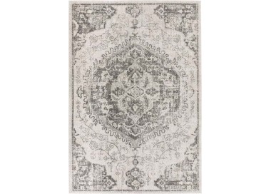 Šedo-krémový koberec 200x290 cm Nova – Asiatic Carpets